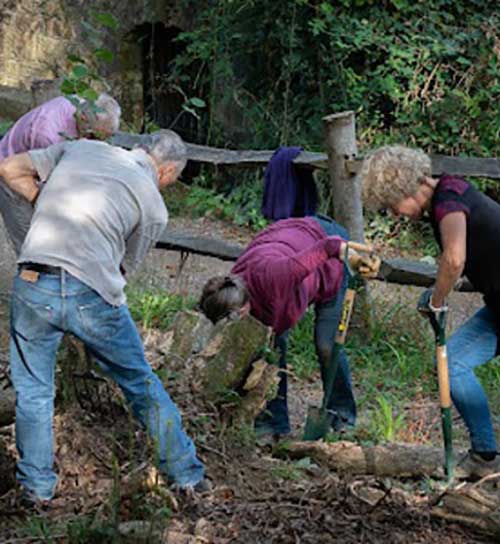 Community Volunteering at Gravetye Estate