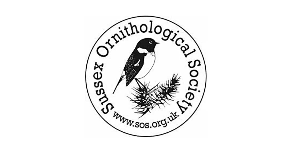 Bird watching with Sussex Ornithological Society