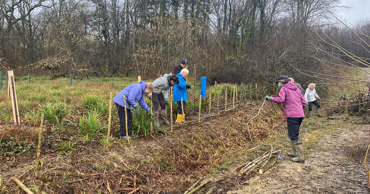 Corporate Volunteering at Gravetye