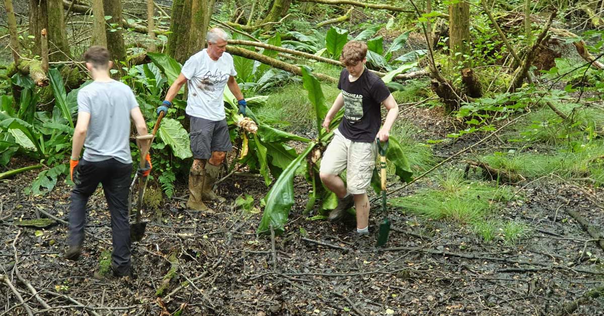 Community Volunteer session at Gravetye Estate