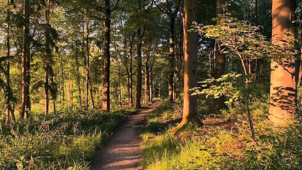 Gravetye Estate Survey