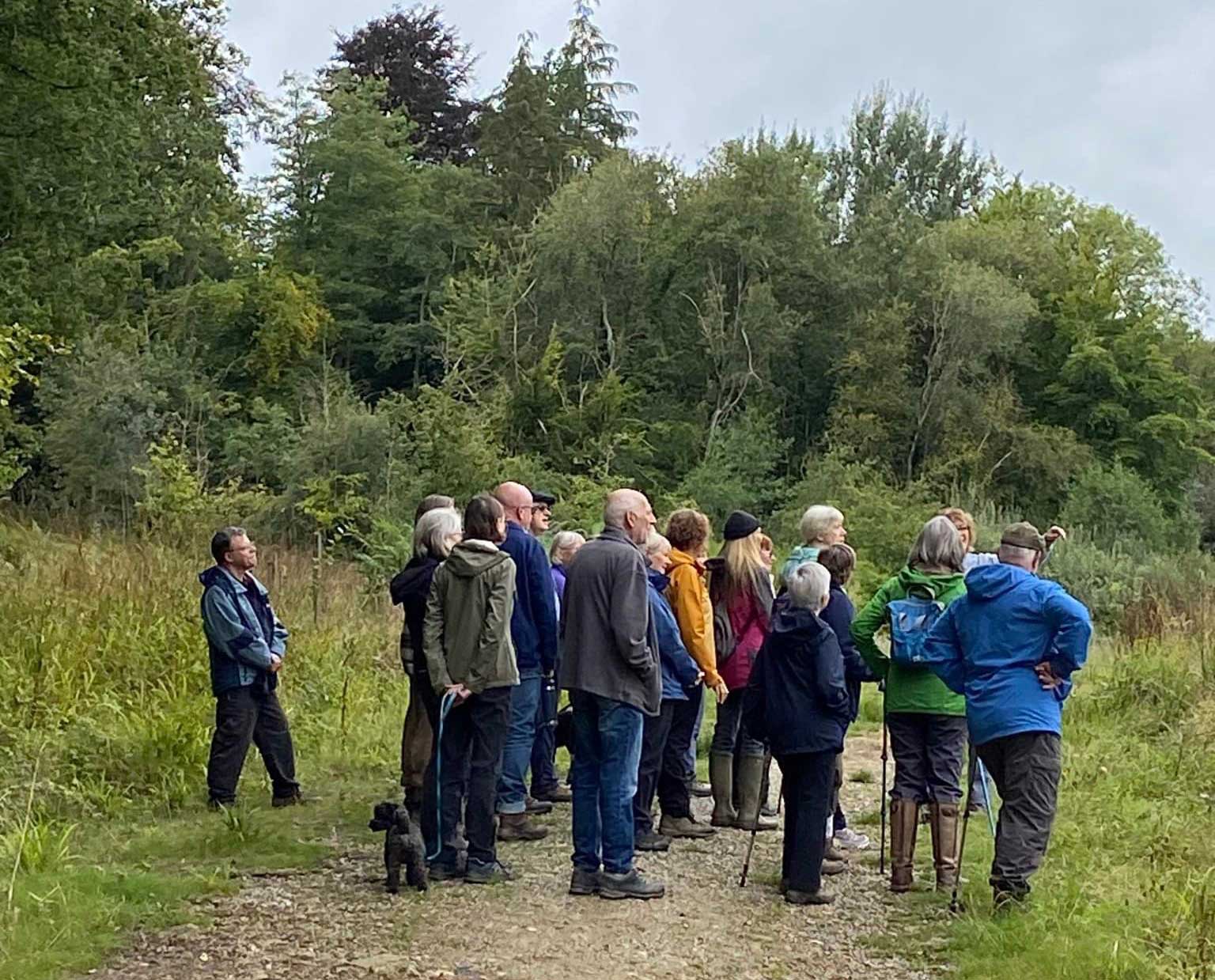 High Weald National Landscape 2024 Walking Festival