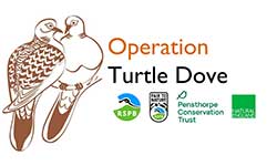 Operation Turtle Dove