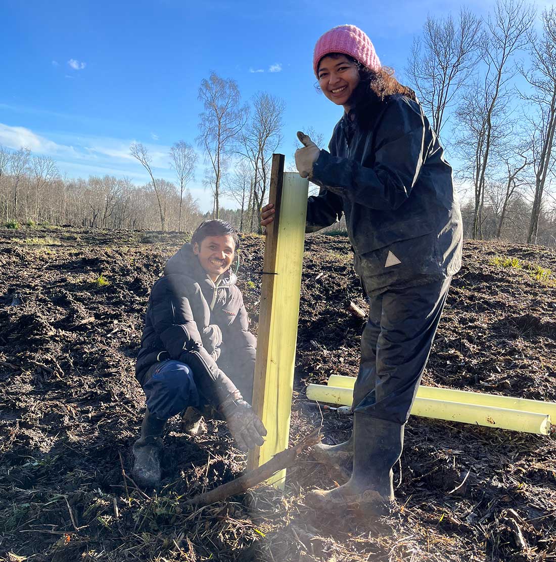 Tree planting at Gravetye Estate