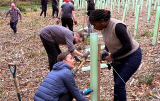 Gravetye Estate Forestry News