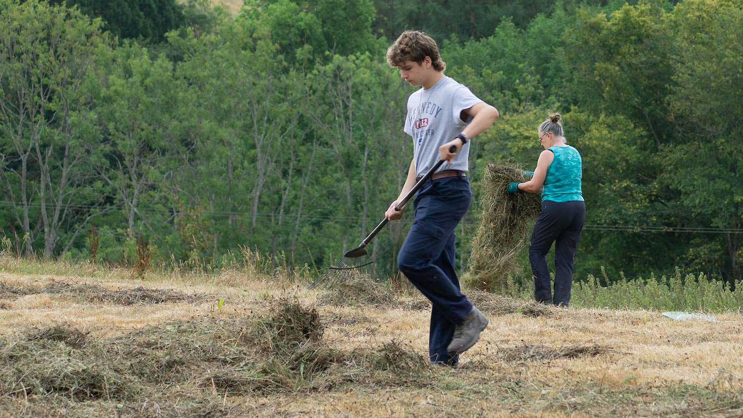 Meadow Making at Gravetye Estate