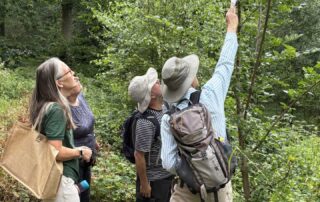 Observatree Citizen Science