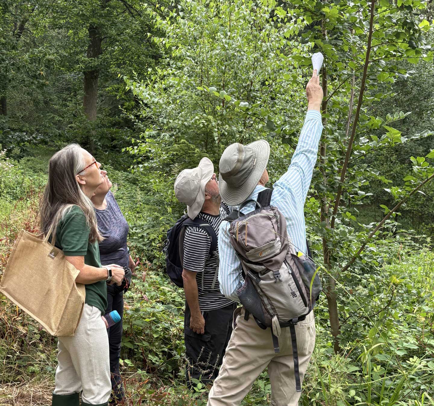 Observatree Citizen Science