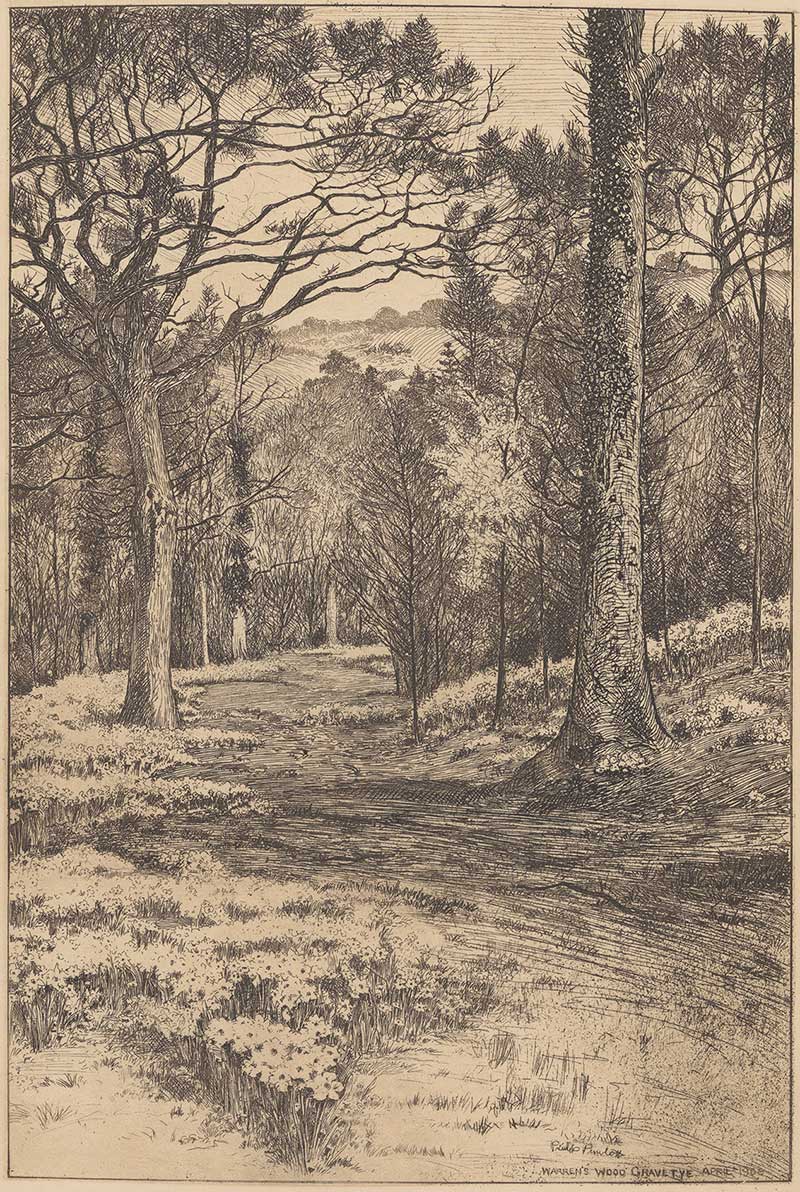 Lindley Warren’s Wood sketch