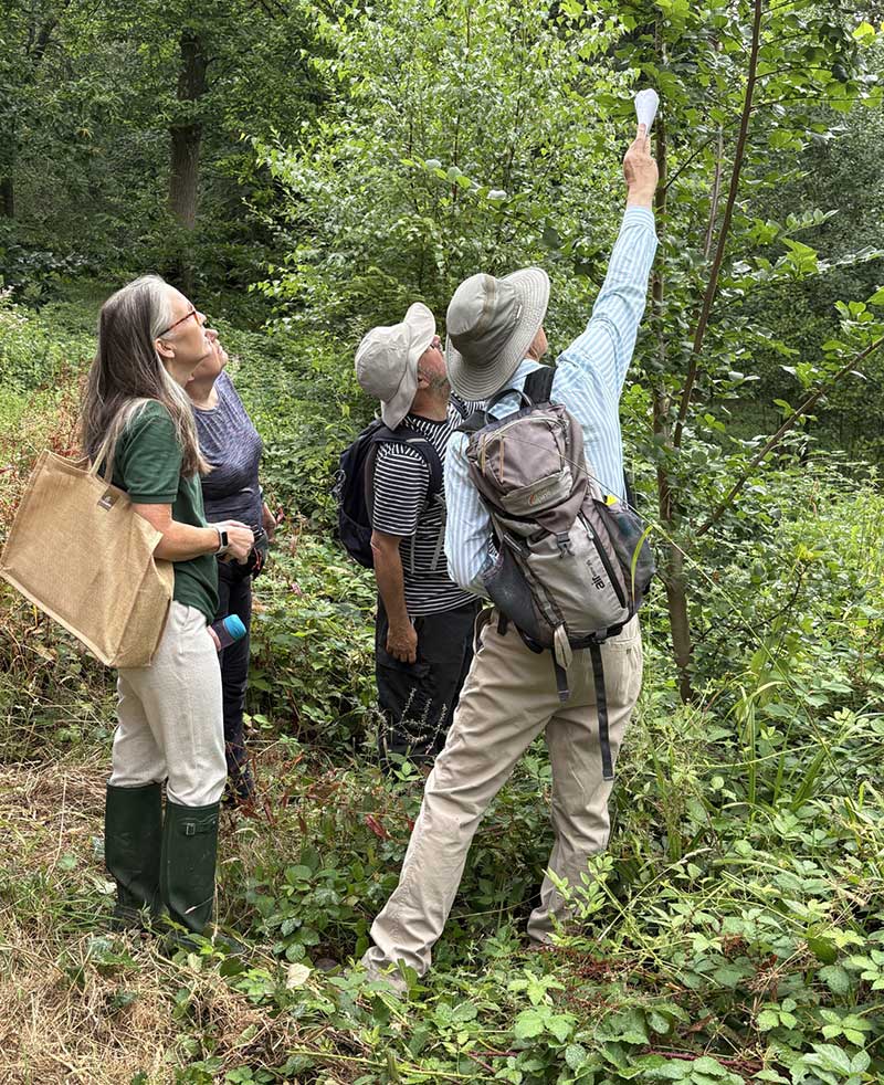 The woodlands should be a sanctuary for birds
